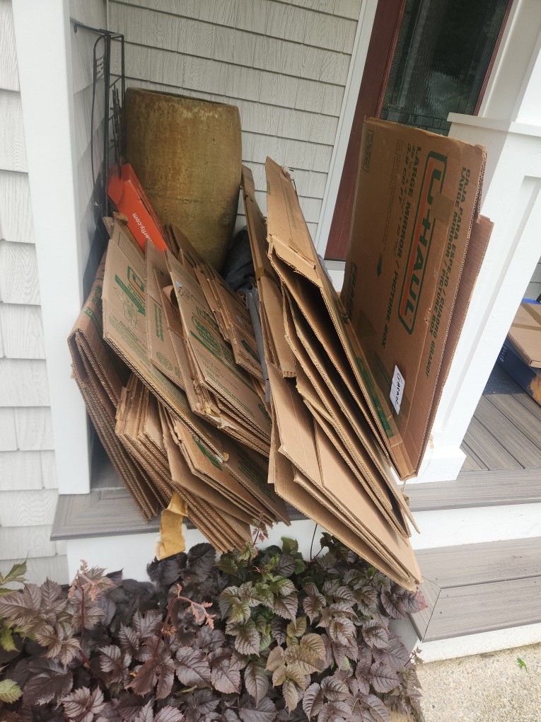 BOXES FOR MOVING