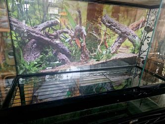 Reptile Tank and Stand