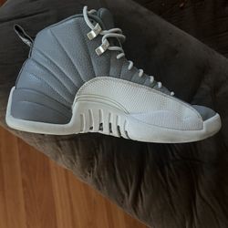 Jordan 12 Stealth Size 9.5 