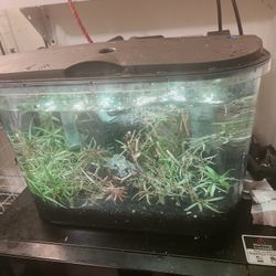 Acrylic Aquarium Kit 6-8 Gallon