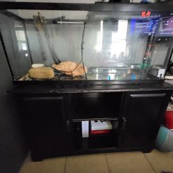 Tank and Storage Stand