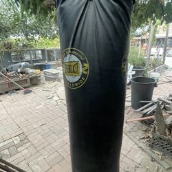 Everlast Punching Bag