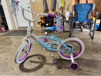 16 inch frozen bike