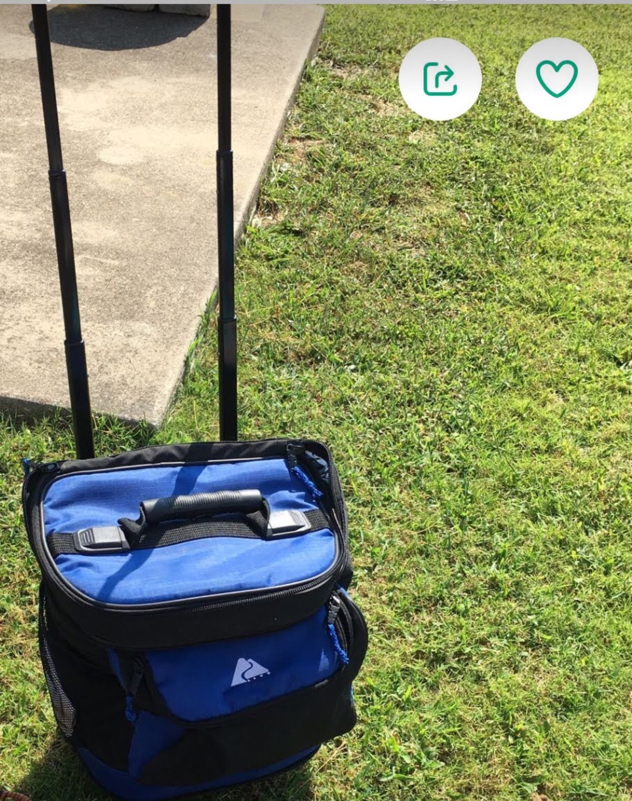 Cool Bag For Picnics