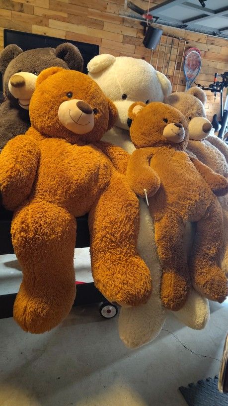 Huge Teddy Bears  Different Colors 