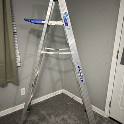 6 ft werner aluminum ladder