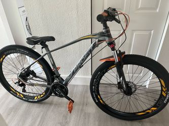 Bike rin 29” aluminum