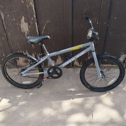 Redline roam Bmx bike