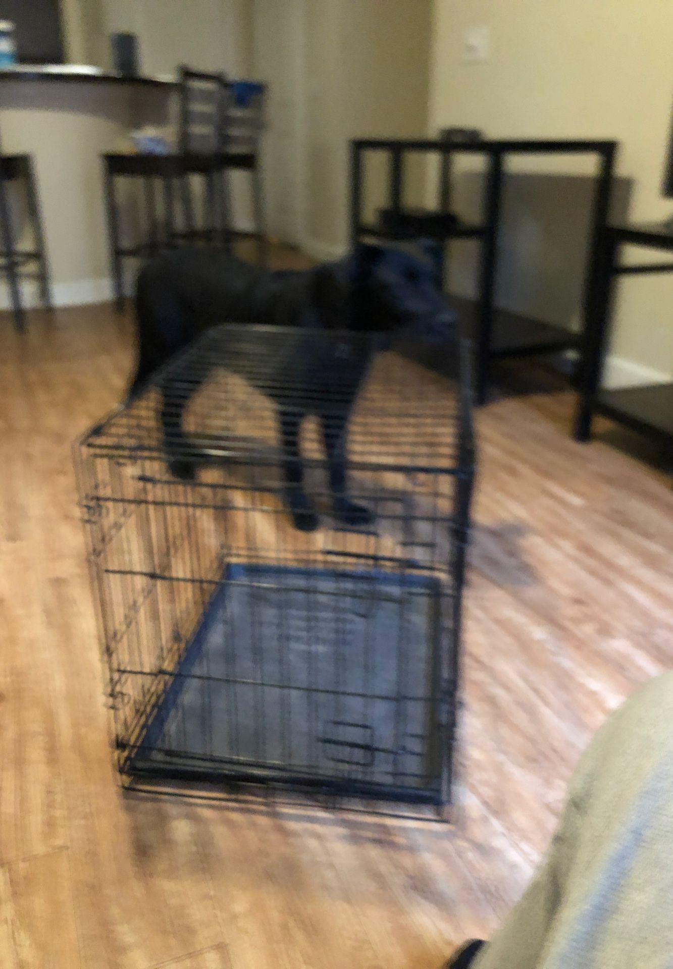 Medium sized dog cage