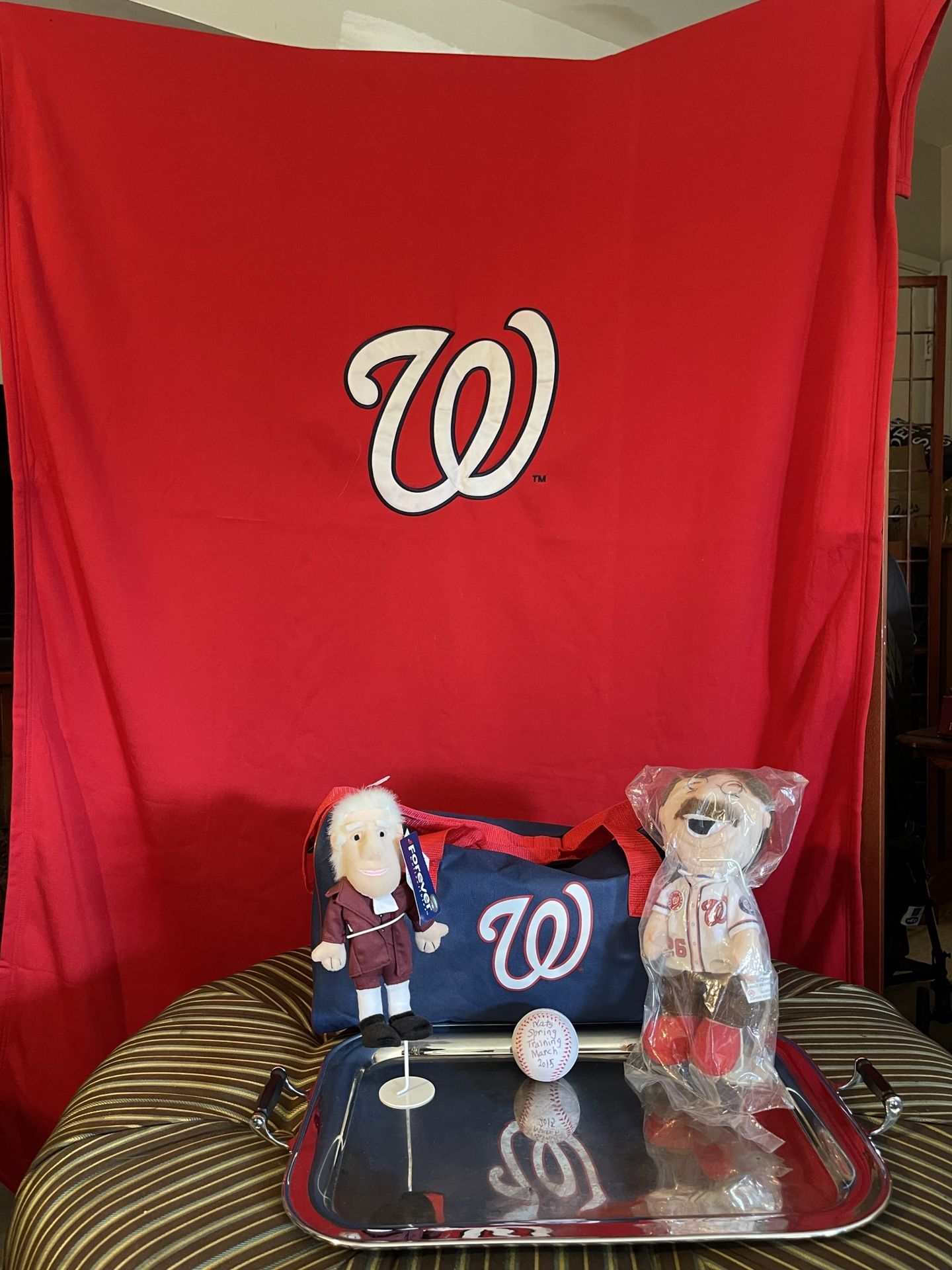Awesome Washington Nationals Fan Gift Bag!