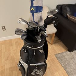 Ben Hogan, Calloway, Taylormade, Nakashima Golf Clubs Set