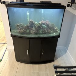 Fluval Aquarium About 40 Gallons Full Set Up