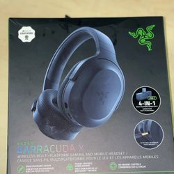 Razer Headset