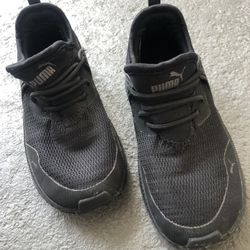 Pumas