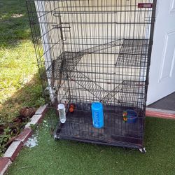 Cage 