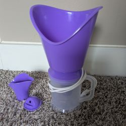 Facial Steamer 