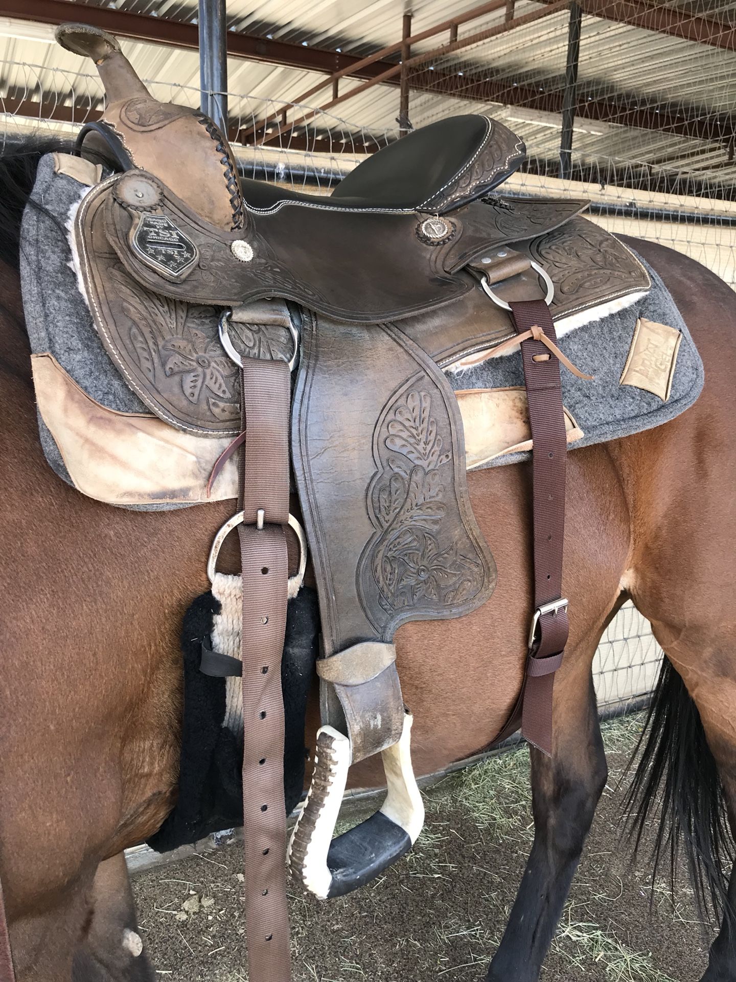 TSI Western Saddle & Saddle Pad