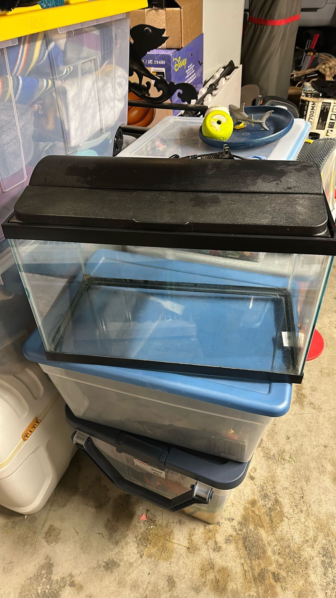 Fish Tank 10 Gallons