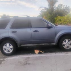 2010 Ford Escape