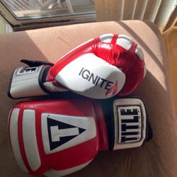 16oz Pro Boxing Gloves (ignite)