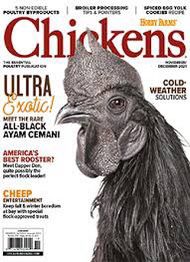 Chicken Magazine
