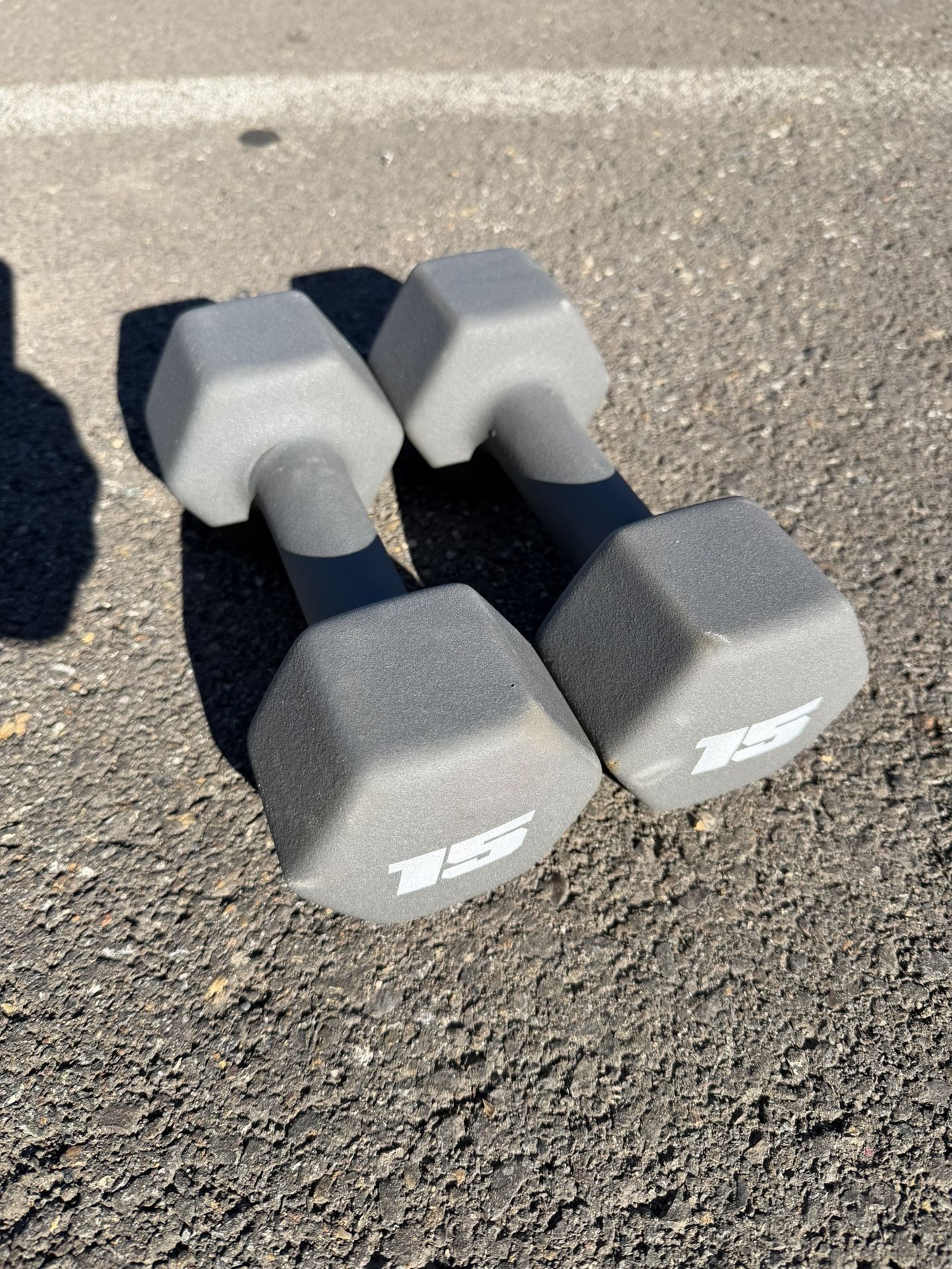 15lbs Dumbbells