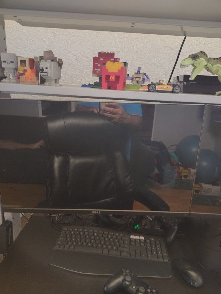 Dell Monitors 