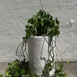 Home Goods- Plant stand 