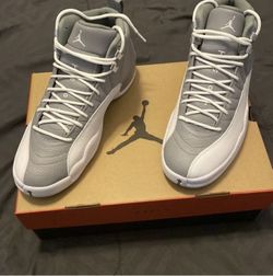 Jordan 12 Stealth