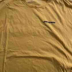 Patagonia shirt 