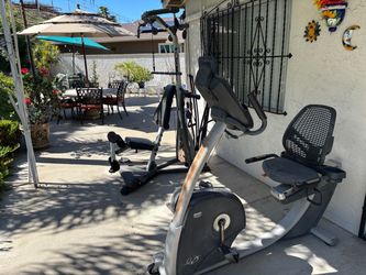 Free BowFlex and Recumbent Bike