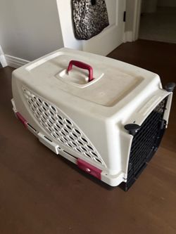 large cat crate/ small dog