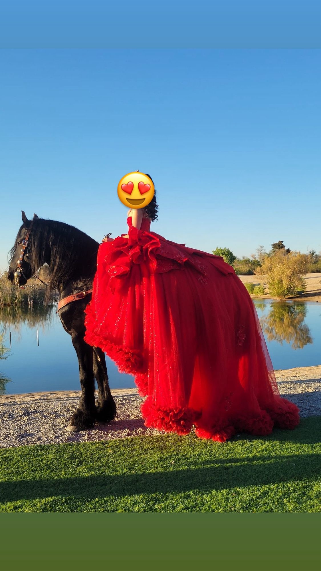 QuinceaƱera Dress