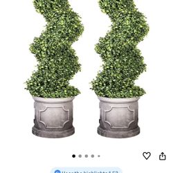 Topiary Brand New 