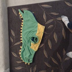 Dragon Costume For A Dog 