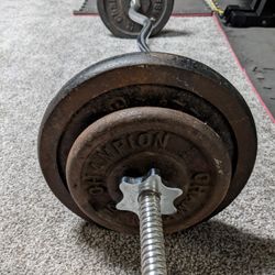 Curl Bar With 25's and 10'