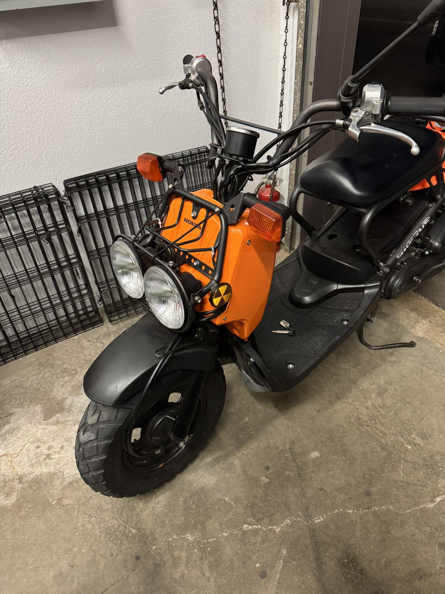 2006 Honda Ruckus