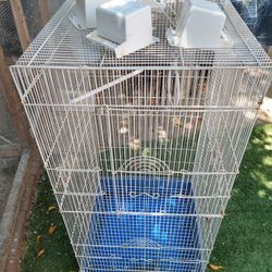 Bird Cage