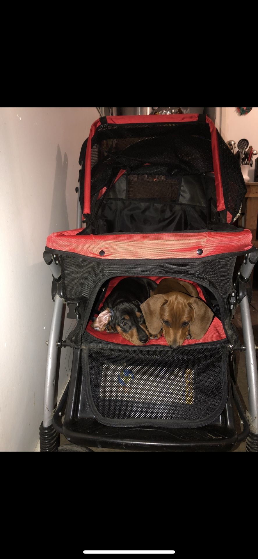 Dog Stroller