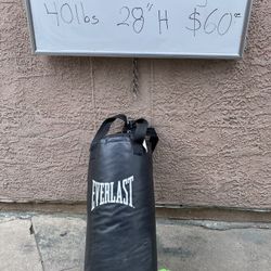 Punching & Kicking Bag