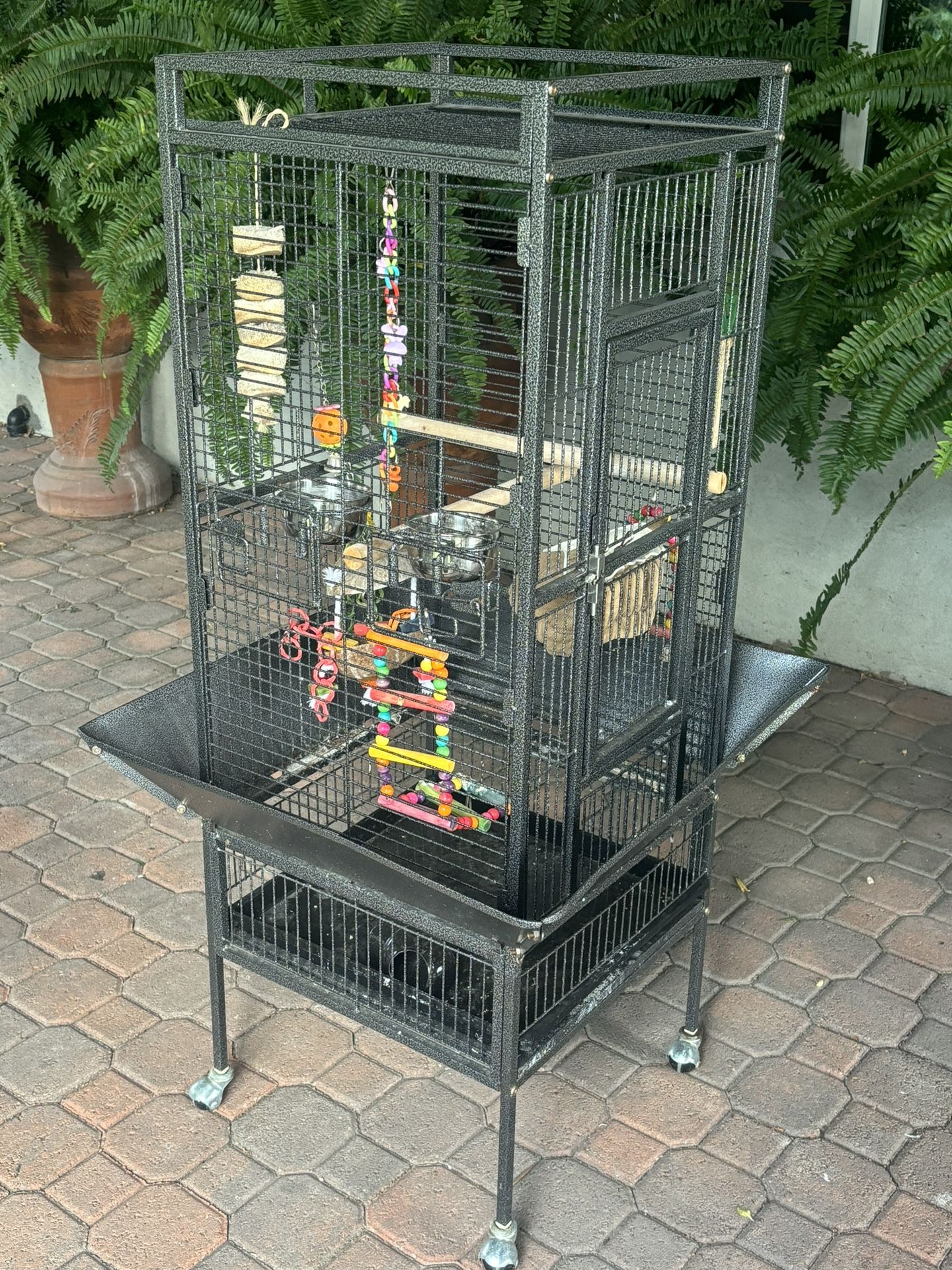 Bird Cage