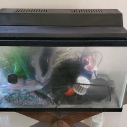 10 Gallons Aquarium Tank Full Set Up Excellent Condition 