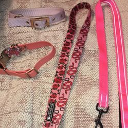 Dog Collars And Leashes