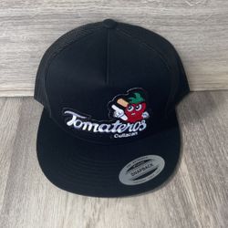 Snapback $20