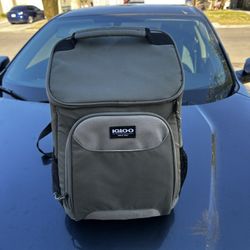 Igloo 24 cans Topgrip Soft Sided Cooler Backpack, Green