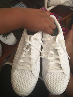White pumas