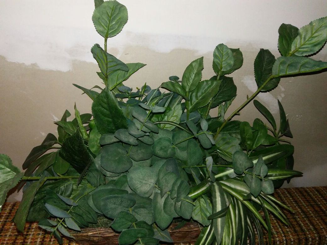 Fake plants in basket
