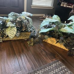 Fake Plants