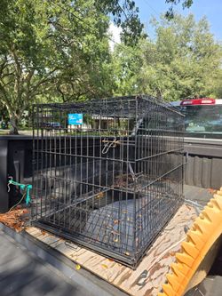 Life Stages Large Animal Crate