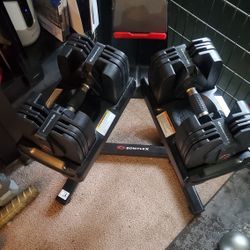 Bowflex 560 Dumbbells With Stand 